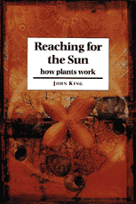 Reaching for the Sun