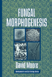 Fungal Morphogenesis