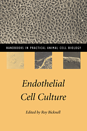 Endothelial Cell Culture