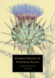 Common Families of Flowering Plants