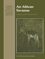 An African Savanna