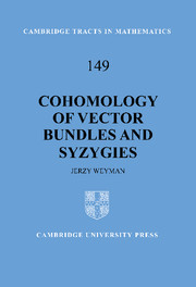 Cohomology of Vector Bundles and Syzygies