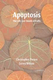 Apoptosis