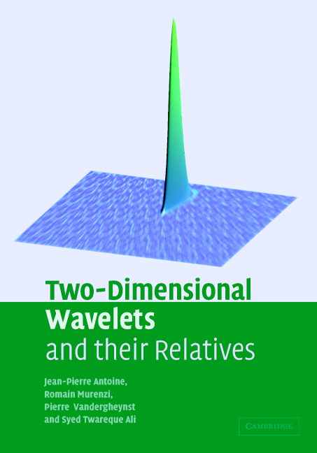 Two-Dimensional Wavelets and their Relatives
