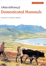 A Natural History of Domesticated Mammals