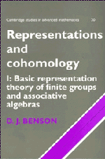 Representations and Cohomology