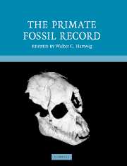 The Primate Fossil Record