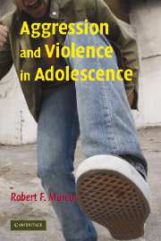 Aggression and Violence in Adolescence