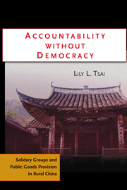 Accountability without Democracy