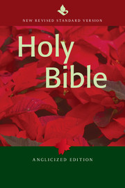NRSV Popular Text Bible, NR530:T