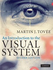 An Introduction to the Visual System