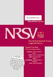 NRSV Popular Text Edition NR532:T tan imitation leather