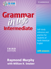 Grammar in Use Intermediate 3rd Edition