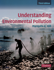 Understanding Environmental Pollution