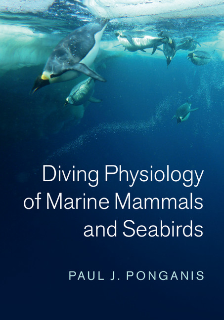 Diving Physiology Of Marine Mammals And Seabirds