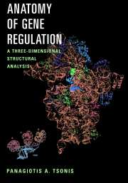 Anatomy of Gene Regulation