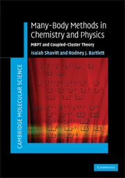 Many-Body Methods in Chemistry and Physics