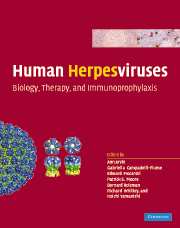 Human Herpesviruses