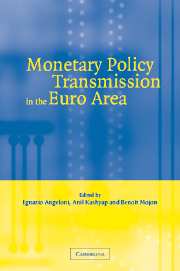 Monetary Policy Transmission in the Euro Area