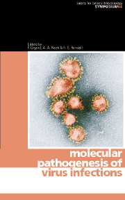 Molecular Pathogenesis of Virus Infections