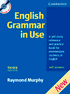 Cover image of English Grammar in Use