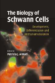 The Biology of Schwann Cells