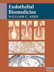 Endothelial Biomedicine