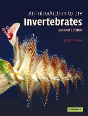 Biology of the invertebrates 7th edition pdf download download google chrome windows 11