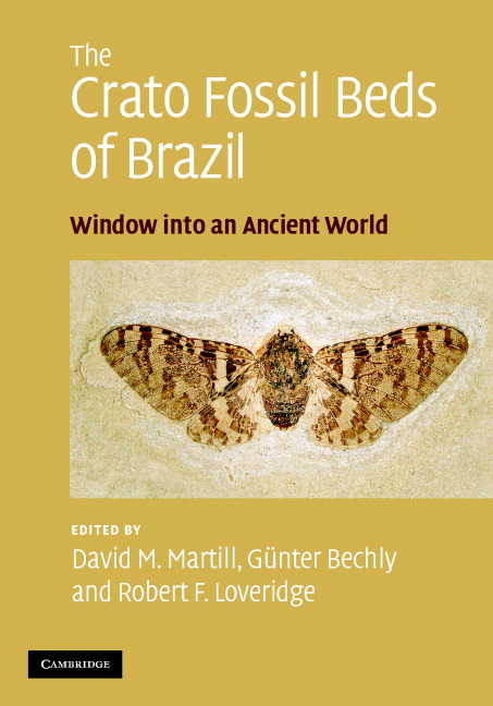 The Crato Fossil Beds of Brazil