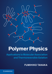 Polymer Physics