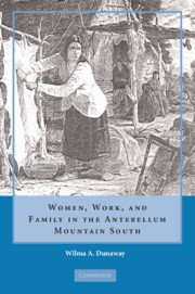 Women, Work and Family in the Antebellum Mountain South