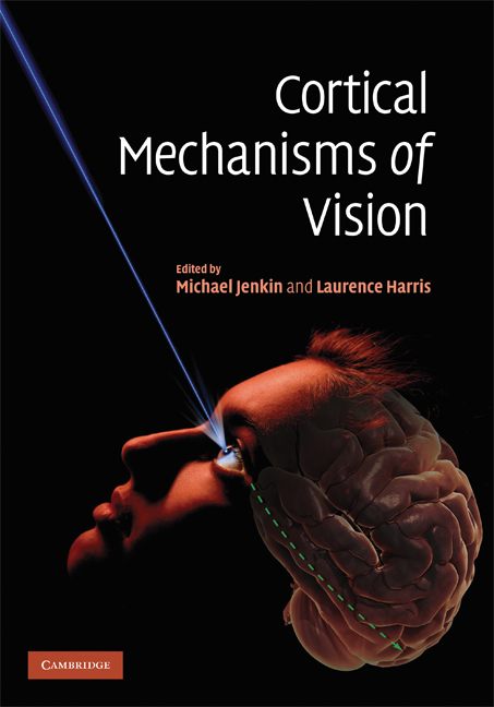 Cortical Mechanisms of Vision