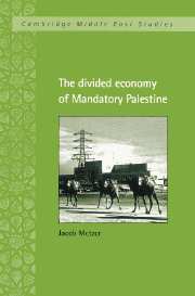 The Divided Economy of Mandatory Palestine