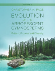 Evolution of the Arborescent Gymnosperms