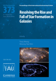 Resolving the Rise and Fall of Star Formation in Galaxies (IAU S373)