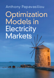 Optimization Models in Electricity Markets