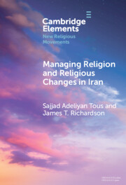 Elements in New Religious Movements