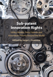 Sub-patent Innovation Rights