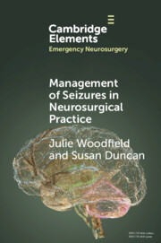 Management of Seizures in Neurosurgical Practice