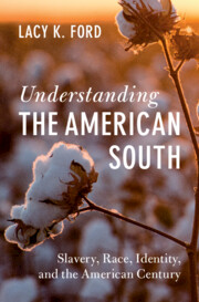 Understanding the American South