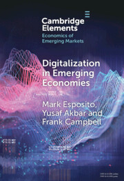 Digitalization in Emerging Economies