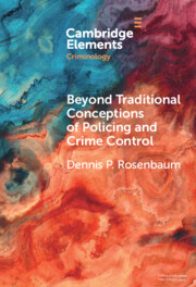 Beyond Traditional Conceptions of Policing and Crime Control