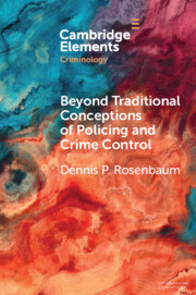 Beyond Traditional Conceptions of Policing and Crime Control