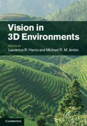Vision in 3D Environments