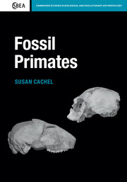 Fossil Primates