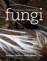 21st Century Guidebook to Fungi