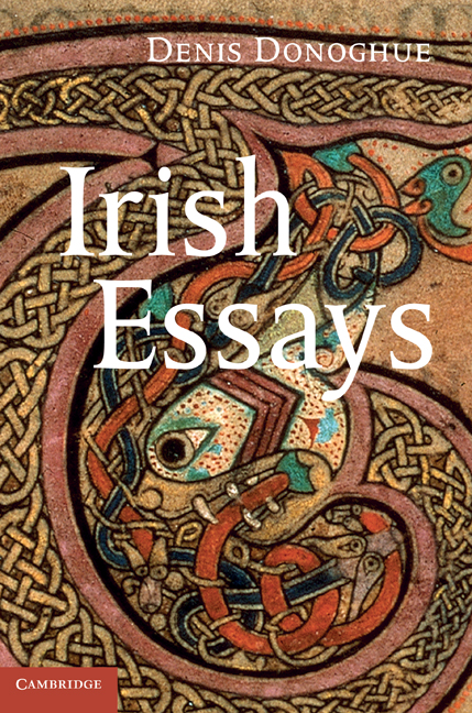 essay topics for irish literature