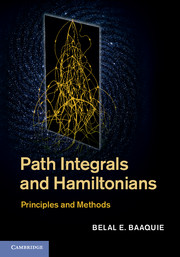 Path Integrals and Hamiltonians
