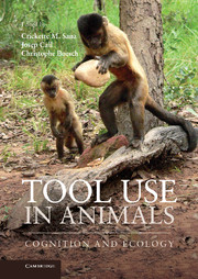 Tool Use in Animals