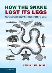 How the Snake Lost its Legs